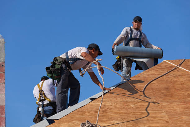 Best Roof Leak Repair  in Carmi, IL